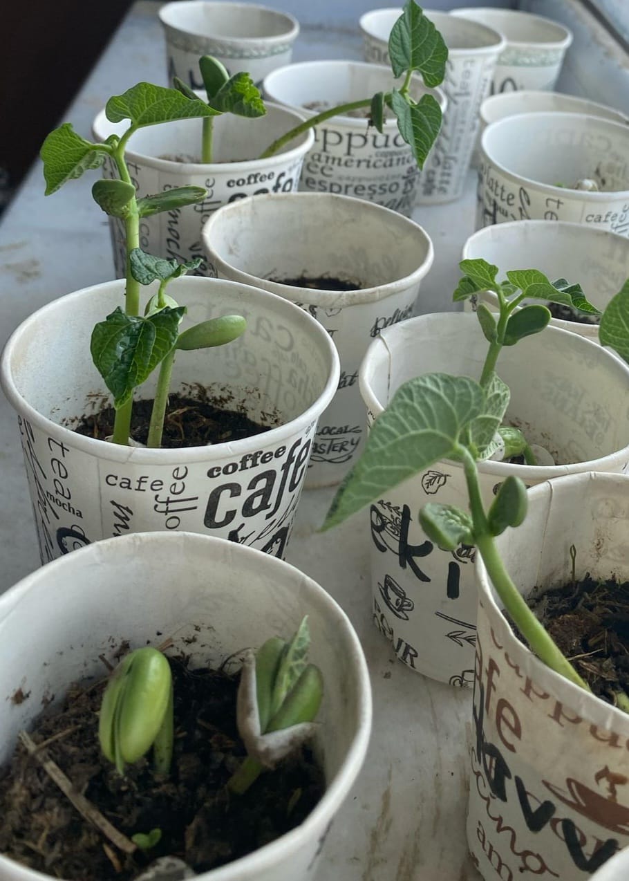 Çevre Dostu Uygulamalar